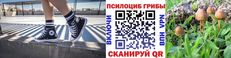 Галлюциногенные грибы прущие грибы  kraken ССЫЛКА  Дятьково  как найти закладки 